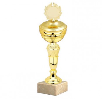 Poháry.com® Sportovní pohár E033.1 GOLD s víkem