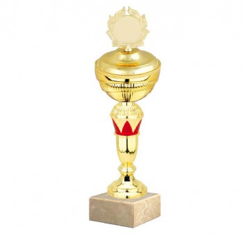 Poháry.com® Sportovní pohár E033.3 ROSSO s víkem
